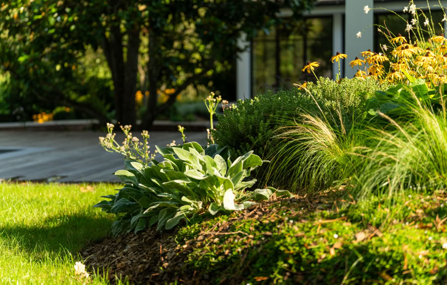 Jardin avec pelouse verte, plantes et fleurs, bâtiment en arrière-plan.