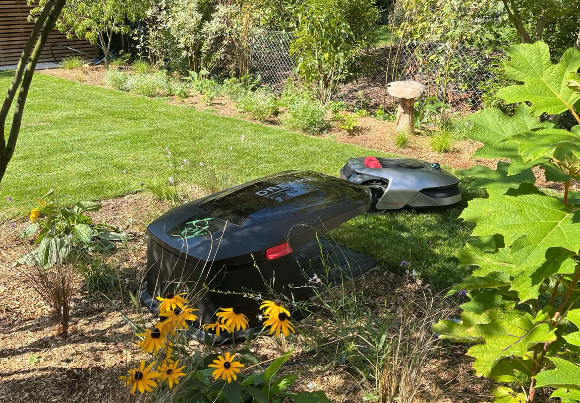 Tondeuse robotique Dreame sur une pelouse entourée de fleurs jaunes et de verdure.