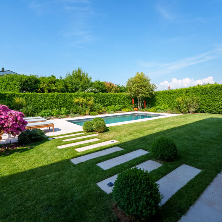 Jardin avec pelouse, piscine rectangulaire, arbustes taillés, fleurs roses à gauche, ciel bleu.