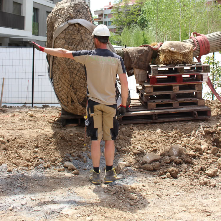 Rond-point à Meinier avec des arbres et des fleurs au centre, entouré d'une route, ciel partiellement nuageux.