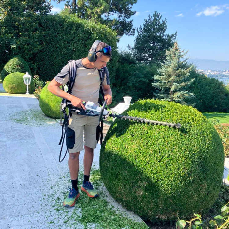 Grande maison blanche avec un jardin verdoyant, entourée d'arbres et de buissons à Collonge-Bellerive.