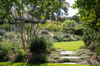 Jardin verdoyant avec des arbres, des buissons et un chemin en pierre menant à une pelouse.