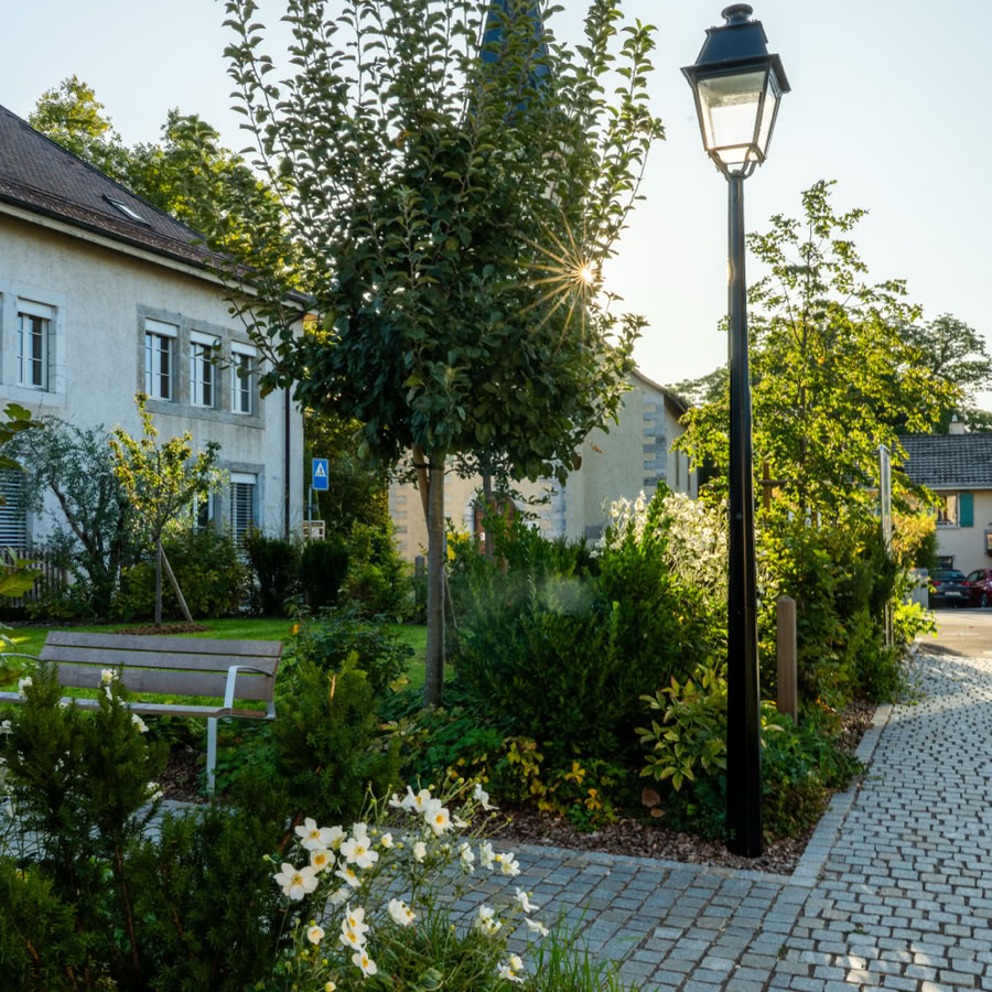Jardin avec des fleurs blanches, lampadaire, allée pavée, arbres et bâtiments en arrière-plan.