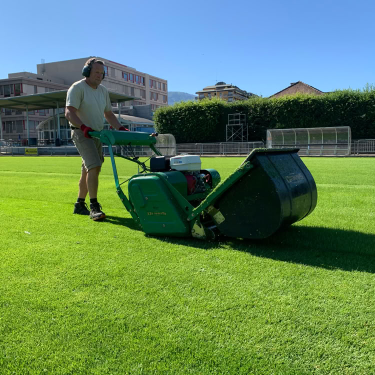 Jardin avec pelouse verte, arbustes, arbres et allée en pierre à Collonge-Bellerive.
