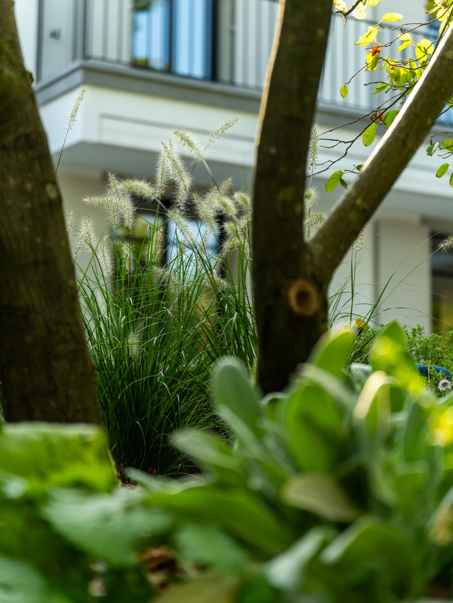 Arbres et feuillage vert devant un bâtiment avec un balcon.