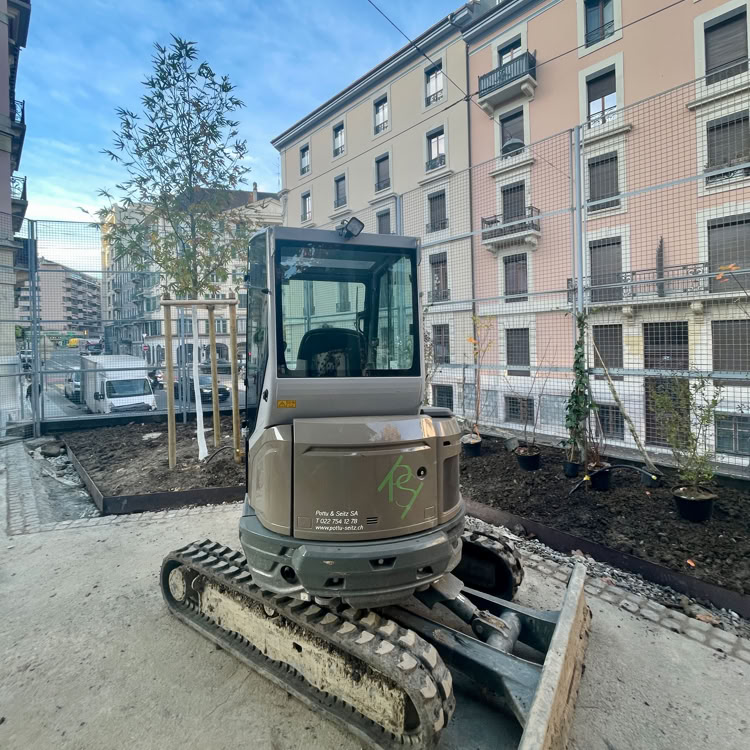 Jardin avec pelouse verte, arbustes, arbres et allée en pierre à Collonge-Bellerive.