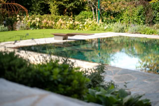 Piscine extérieure entourée de verdure et de fleurs, avec un banc en bois à côté.