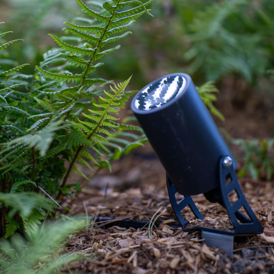 Projecteur noir sur le sol entouré de fougères vertes.