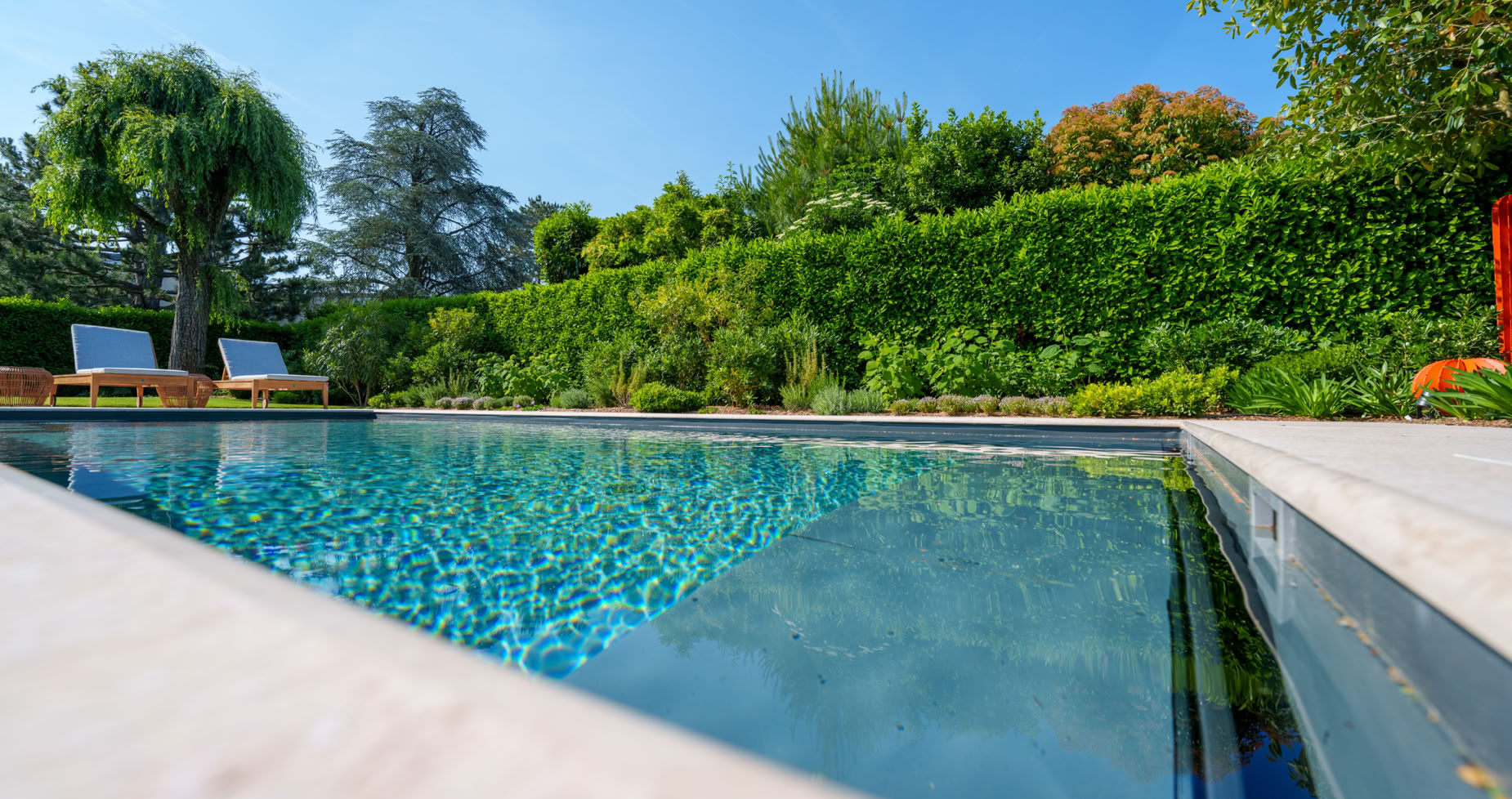 Piscine extérieure entourée de verdure avec des chaises longues blanches à l'arrière-plan.